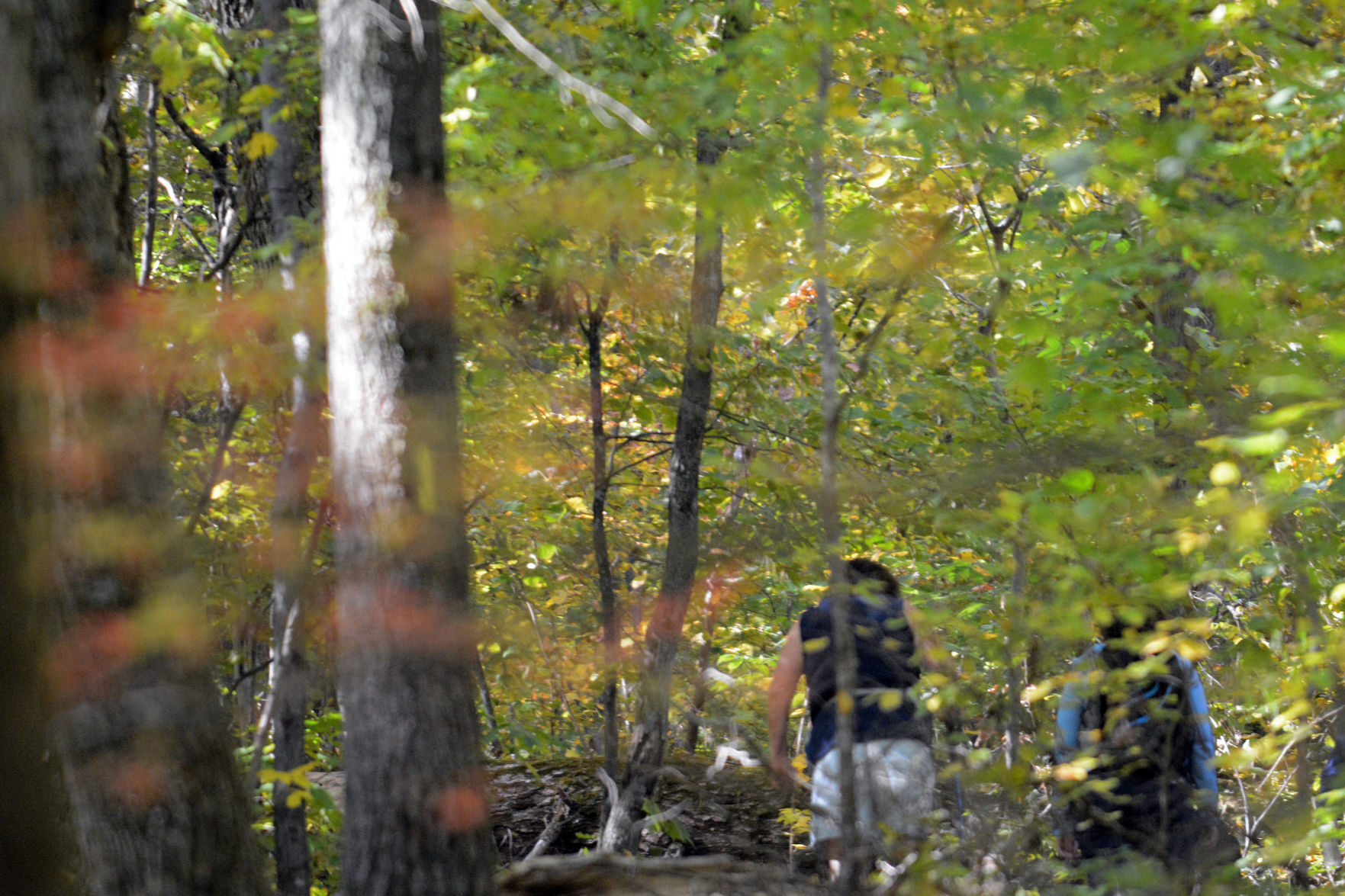 Baraboo area fall color, Oct. 8, 2020